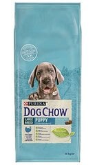 Purina Dog Chow šunims su kalakutiena, 14 kg kaina ir informacija | Sausas maistas šunims | pigu.lt
