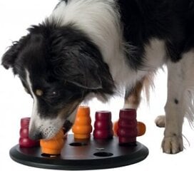 Žaislas šunims Dog Activity Solitaire Level 1, 29 cm kaina ir informacija | Žaislai šunims | pigu.lt