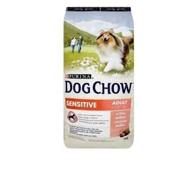 Purina Dog CHow Sensitive suaugusiems šunims su lašiša, 14 kg kaina ir informacija | Sausas maistas šunims | pigu.lt