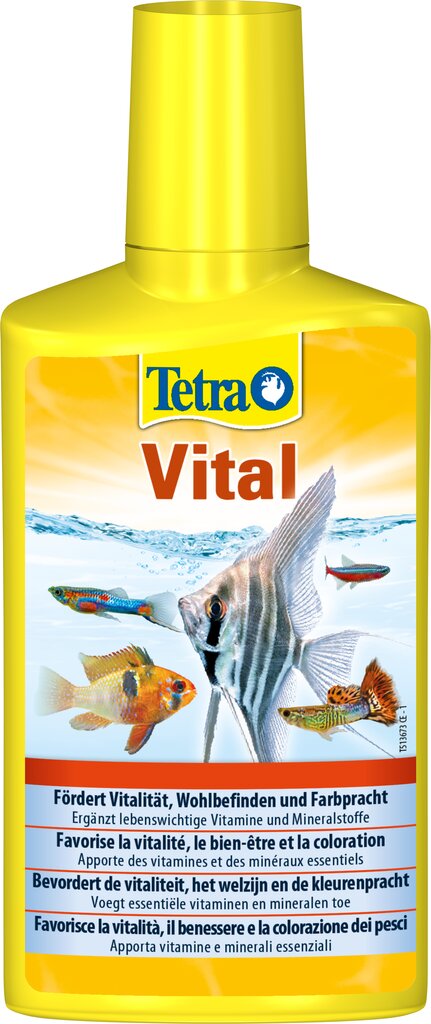 Mineralų kompleksas akvariumams Tetra Vital, 250 ml kaina ir informacija | Akvariumai ir jų įranga | pigu.lt