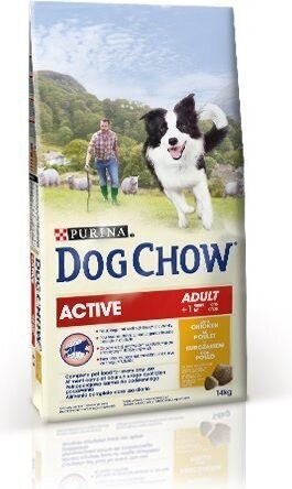 Purina Dog Chow Adult Active suaugusiems aktyviems šunims su vištiena, 14 kg kaina ir informacija | Sausas maistas šunims | pigu.lt