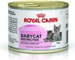Royal Canin kačiukams ir maitinančioms katėms Babycat Instinctive, 195 g kaina ir informacija | Konservai katėms | pigu.lt