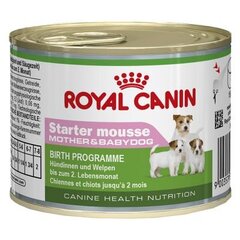 Влажный корм Royal Canin Starter Mother&Babydog - мусс, для беременных и кормящих сук и щенков, консервы 195 г цена и информация | Консервы для собак | pigu.lt