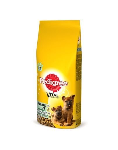 Pedigree su vištiena Vital Protection Junior 15 kg kaina ir informacija | Sausas maistas šunims | pigu.lt