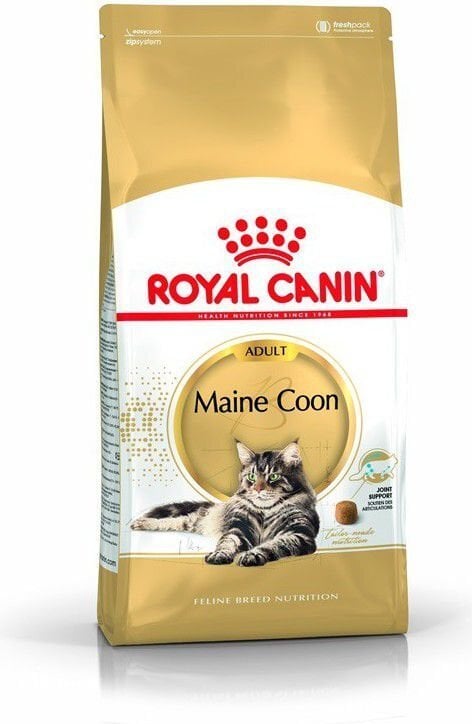 Royal Canin Meino meškėnų veislės katėms, 10 kg цена и информация | Sausas maistas katėms | pigu.lt