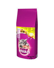 Whiskas для котят с курицей Junior, 14 кг цена и информация | Сухой корм для кошек | pigu.lt