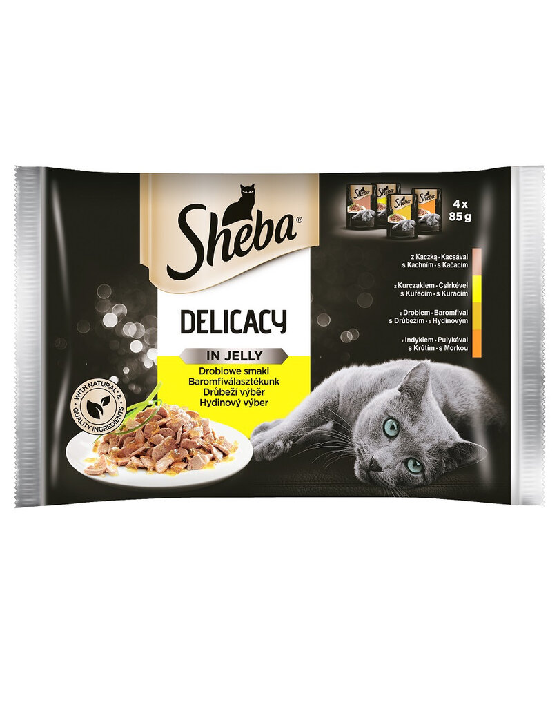 Sheba Delicato rinkinys su paukštiena, 4 x 85 g x13 цена и информация | Konservai katėms | pigu.lt