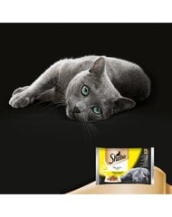 Набор Sheba Delicato с птицей, 4 x 85 г x 13 цена и информация | Консервы для кошек | pigu.lt