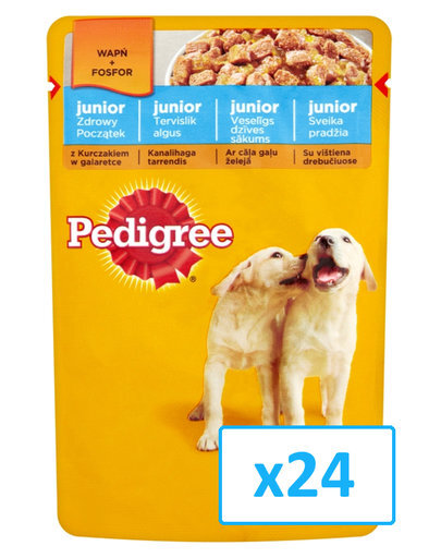 Pedigree Junior konservuotas ėdalas šuniukams su vištiena 24 x 100g kaina ir informacija | Konservai šunims | pigu.lt