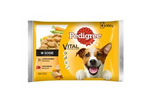 Pedigree для взрослых собак с курицей и говядиной, 52х100 г цена и информация | Консервы для собак | pigu.lt