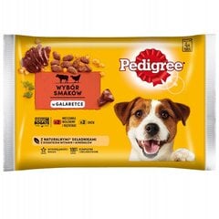 Pedigree Adult Selection of Flavours in Jelly для взрослых собак с говядиной и птицей, 52x100 г цена и информация | Консервы для собак | pigu.lt