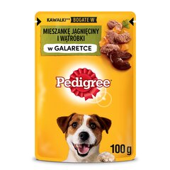 Pedigree suaugusiems šunims su ėriena, 24x0.1 kg kaina ir informacija | Konservai šunims | pigu.lt