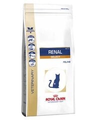 Royal Canin inkstų problemų turinčioms katėms Cat Renal Select, 4 kg kaina ir informacija | Sausas maistas katėms | pigu.lt