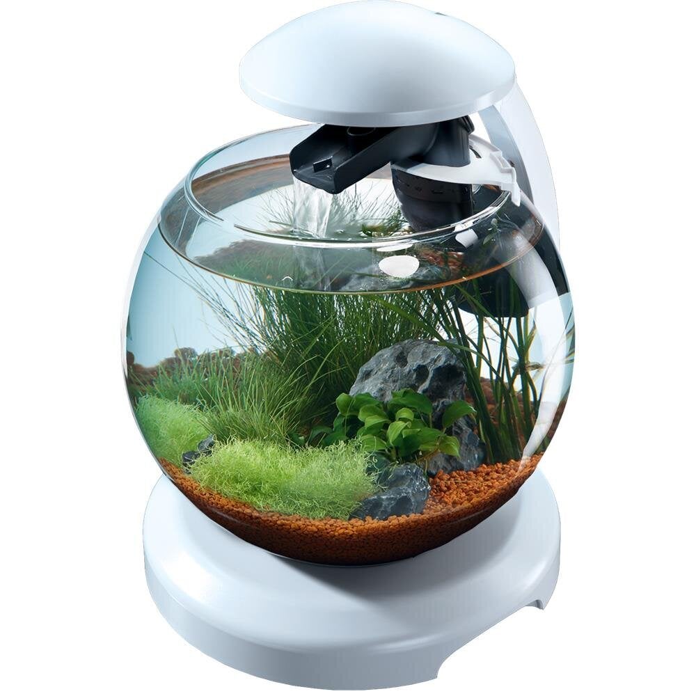 TETRA akvariumas Cascade Globe, 6.8 L цена и информация | Akvariumai ir jų įranga | pigu.lt