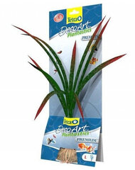 Tetra dirbtinis augalas Dragonflame​ kaina ir informacija | Akvariumo augalai, dekoracijos | pigu.lt