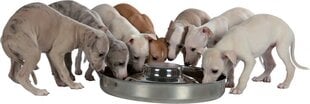 Миска металлическая для животных Trixie, 4 л, 38 см цена и информация | Миски, ящики для корма | pigu.lt