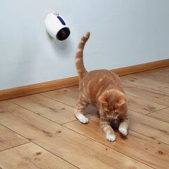 Trixie žaislas katei automatinė lazerinė rodyklė kaina ir informacija | Žaislai katėms | pigu.lt
