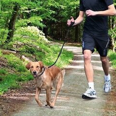 Поводок Trixie Jogging, 2 см. цена и информация | Поводки для собак | pigu.lt