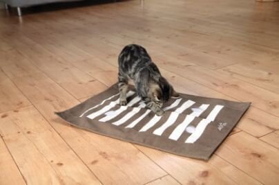 Žaidimų kilimėlis katėms Trixie, 70 × 50 cm kaina ir informacija | Žaislai katėms | pigu.lt