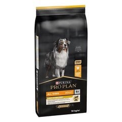 Сухой корм для собак всех размеров Purina Pro Plan OptiWeight Light/Sterillised Adult, 14кг цена и информация | Сухой корм для собак | pigu.lt