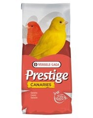 Versele-Laga lesalas kanarėlėms Canaries Light, 20 kg kaina ir informacija | Lesalas paukščiams | pigu.lt