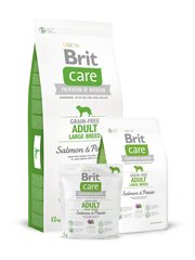 Brit Care Adult didelių veislių šunims su lašiša ir bulvėmis, be grūdų, 3 kg kaina ir informacija | Sausas maistas šunims | pigu.lt