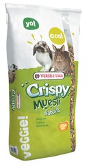 Корм для карликовых кроликов Versele-Laga Crispy, 20 кг цена и информация | Корм для грызунов | pigu.lt