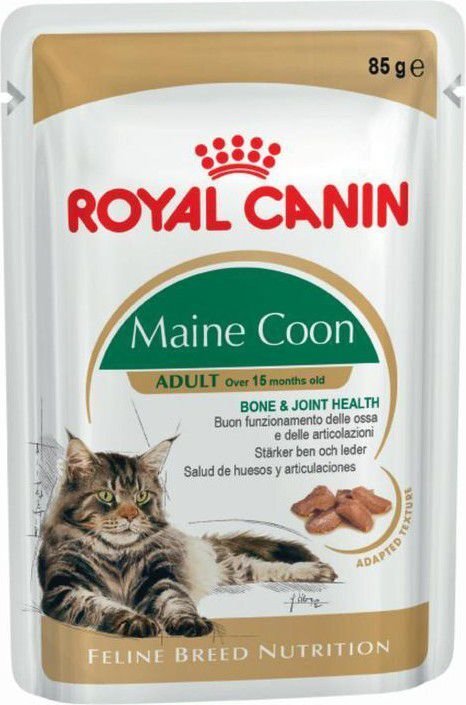 Royal Canin suagusioms Meino meškėnų veislės katėms, 12x85 g цена и информация | Konservai katėms | pigu.lt