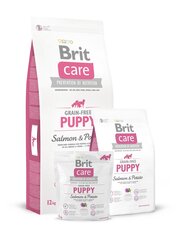Brit Care Puppy Salmon & Potato полноценный корм для собак 12кг цена и информация |  Сухой корм для собак | pigu.lt