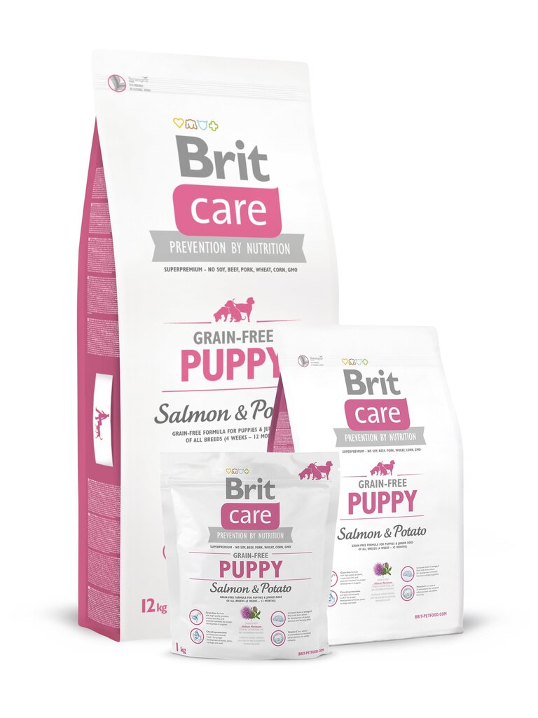 Brit Care mažiems šuniukams su lašiša ir bulvėmis, be grūdų, 12 kg kaina ir informacija | Sausas maistas šunims | pigu.lt