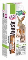 Papildomas maistas graužikams LoLo Pets, 80 g цена и информация | Корм для грызунов | pigu.lt