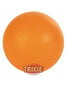 Trixie kietas kamuoliukas, 5 cm цена и информация | Žaislai šunims | pigu.lt