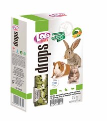 Skanėstai graužikams LoLo Pets, 75 g kaina ir informacija | Graužikų ir triušių maistas | pigu.lt