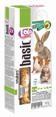 Papildomas maistas graužikams LoLo Pets, 90 g, 2 vnt цена и информация | Корм для грызунов | pigu.lt