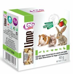 Mineralinis akmuo graužikams LoLo Pets, 40 g цена и информация | Корм для грызунов | pigu.lt