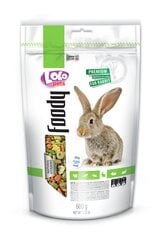 Maistas triušiams LoLo Pets, 600 g цена и информация | Корм для грызунов | pigu.lt