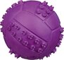 Trixie guminis kamuoliukas, 9.5 cm цена и информация | Žaislai šunims | pigu.lt