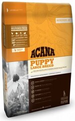 Корм для щенков крупных пород ACANA DOG, 17 кг цена и информация | Acana Товары для животных | pigu.lt