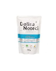 Dolina Noteci Premium с форелью, 500 г цена и информация | Консервы для собак | pigu.lt