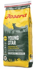 Josera Dog Junior Youngstar Grainfree, 15 kg kaina ir informacija | Sausas maistas šunims | pigu.lt