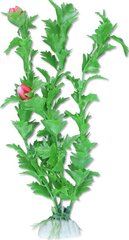 Augalų lizdinė plokštelė 20cm 2b42 Happet kaina ir informacija | Akvariumo augalai, dekoracijos | pigu.lt