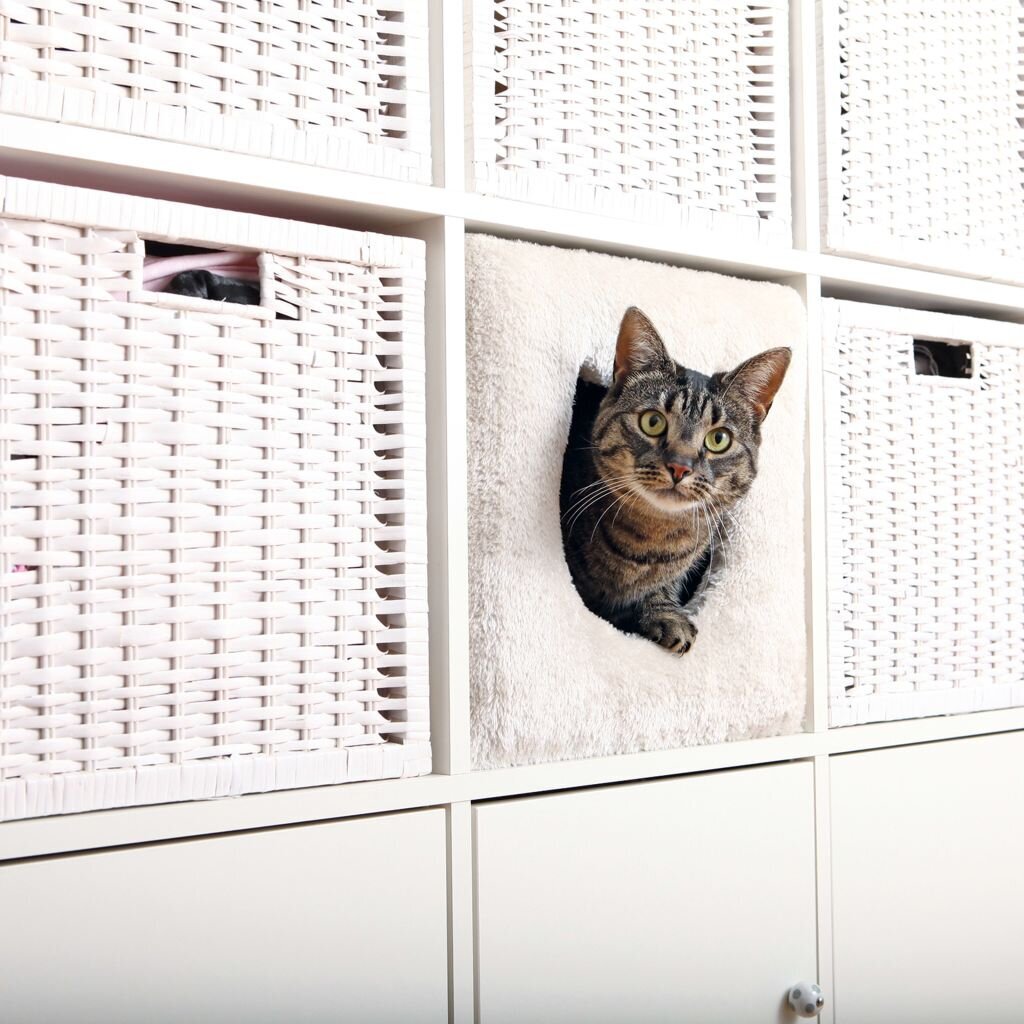 Trixi kačių urvas kubo formos Cuddly, 33x33x37cm, 44090 kaina ir informacija | Guoliai, pagalvėlės | pigu.lt