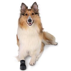 Защитные ботинки для собак - Trixie Walker Care Protective Boots &quot;M&quot; 2pcs, Border Collie цена и информация | Одежда для собак | pigu.lt