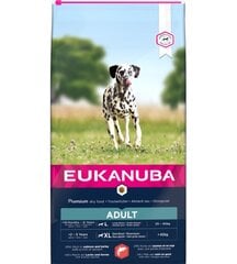 Eukanuba L/XL полноценный корм для взрослых собак с лососем и ячменем, 12 кг цена и информация | Сухой корм для собак | pigu.lt