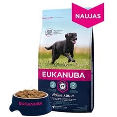 Сухой корм Eukanuba для взрослых собак крупных пород со свежей курицей15 кг цена и информация | Сухой корм для собак | pigu.lt