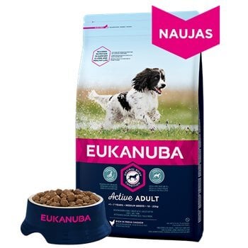 Eukanuba sausas pašaras vidutinių veislių šunims su šviežia vištiena 15 kg цена и информация | Sausas maistas šunims | pigu.lt