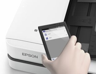 EPSON WorkForce DS-1660W kaina ir informacija | Skeneriai | pigu.lt
