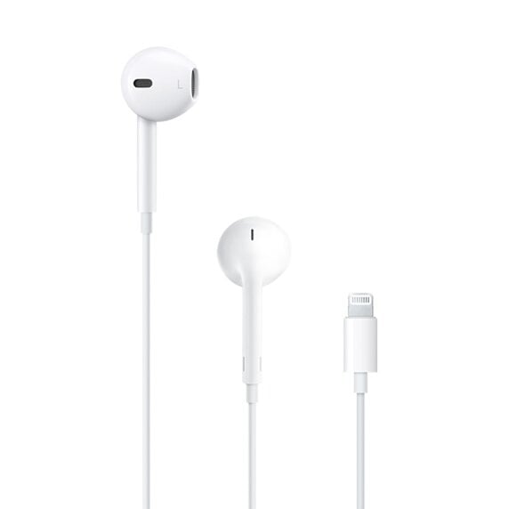 Apple EarPods with Lightning Connector - MMTN2ZM/A kaina ir informacija | Ausinės | pigu.lt