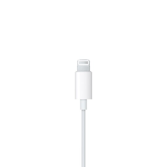 Apple EarPods with Lightning Connector - MMTN2ZM/A цена и информация | Ausinės | pigu.lt