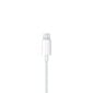 Apple EarPods with Lightning Connector - MMTN2ZM/A цена и информация | Ausinės | pigu.lt